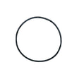 O-ring fläns – AstralPool Victoria Plus Silent – artikel 4405010487