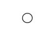 O-ring för unionmutter InverPilot/Inverwisper – Pahlén 635328