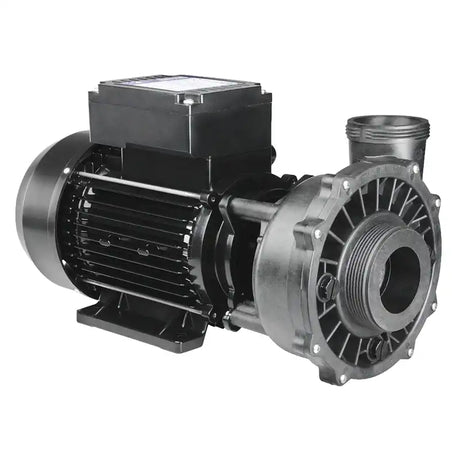 Massage pump 2,5HP, 2-Speed, ink.sladd – artikel 2503