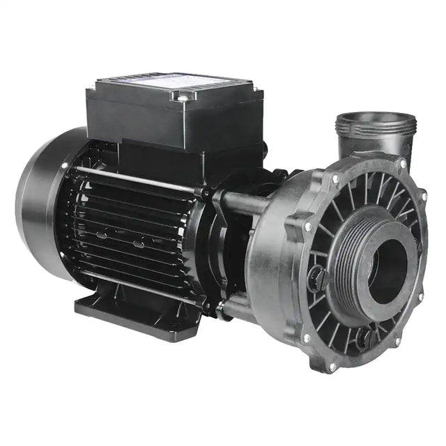 Massage pump 2,5HP, 2-Speed, ink.sladd – artikel 2503