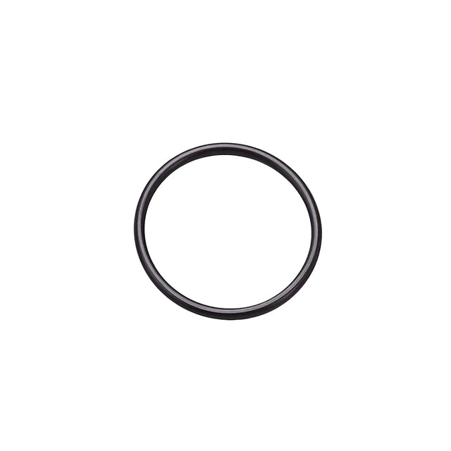 O-ring svart 2 tum för Pentair pumpanslutning – artikel 813